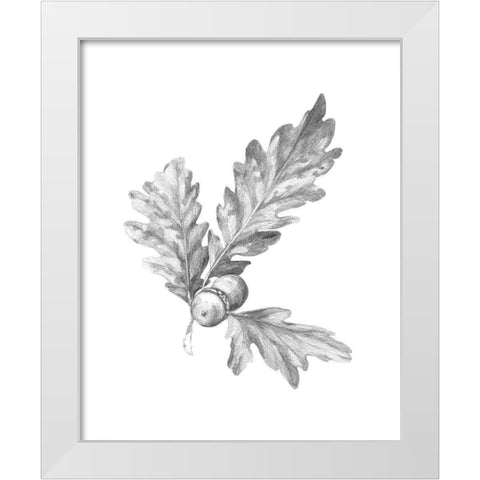 Oak Leaf Pencil Sketch I White Modern Wood Framed Art Print by Caroline, Emma