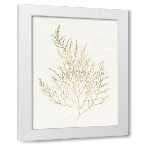 Gilded Algae II White Modern Wood Framed Art Print by Goldberger, Jennifer