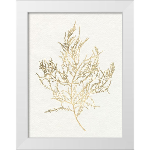 Gilded Algae III White Modern Wood Framed Art Print by Goldberger, Jennifer