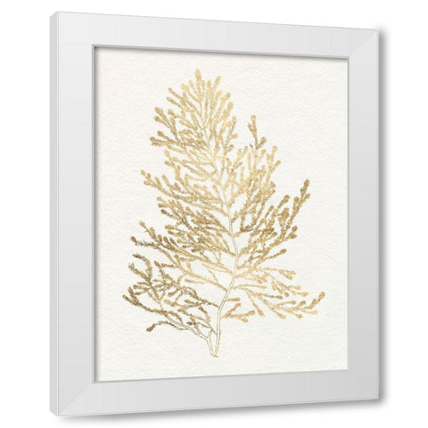 Gilded Algae IV White Modern Wood Framed Art Print by Goldberger, Jennifer