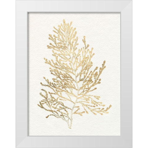 Gilded Algae IV White Modern Wood Framed Art Print by Goldberger, Jennifer