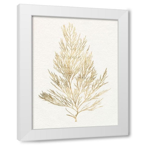 Gilded Algae V White Modern Wood Framed Art Print by Goldberger, Jennifer