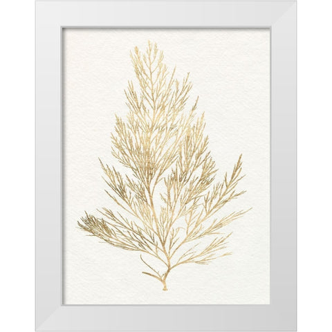 Gilded Algae V White Modern Wood Framed Art Print by Goldberger, Jennifer