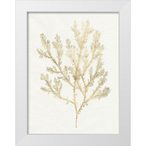 Gilded Algae VI White Modern Wood Framed Art Print by Goldberger, Jennifer