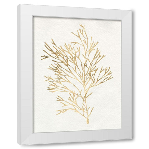 Gilded Algae VII White Modern Wood Framed Art Print by Goldberger, Jennifer