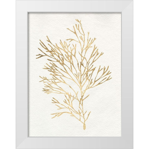 Gilded Algae VII White Modern Wood Framed Art Print by Goldberger, Jennifer