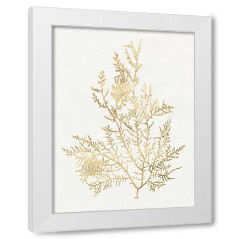 Gilded Algae VIII White Modern Wood Framed Art Print by Goldberger, Jennifer