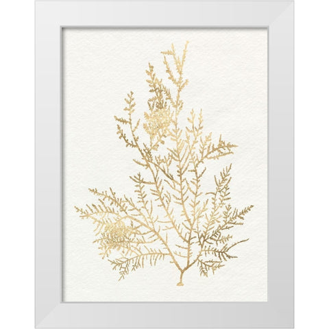 Gilded Algae VIII White Modern Wood Framed Art Print by Goldberger, Jennifer