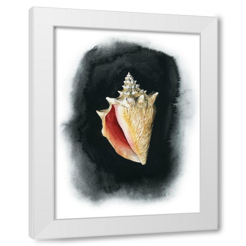 Conch on Black I White Modern Wood Framed Art Print by Popp, Grace