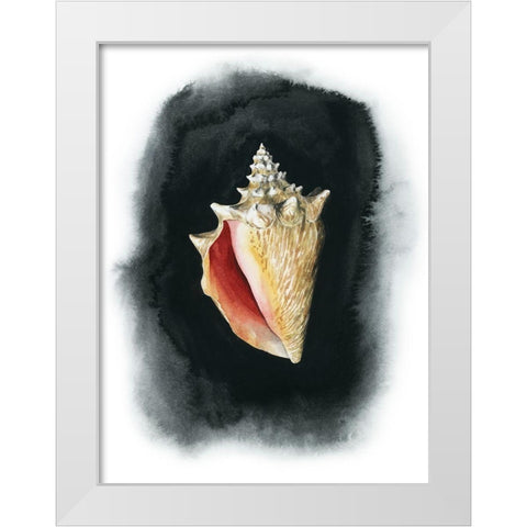 Conch on Black I White Modern Wood Framed Art Print by Popp, Grace