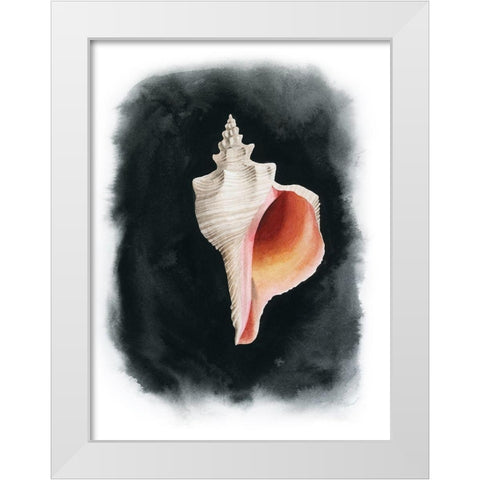 Conch on Black II White Modern Wood Framed Art Print by Popp, Grace