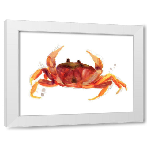 Crab Cameo III White Modern Wood Framed Art Print by Vess, June Erica