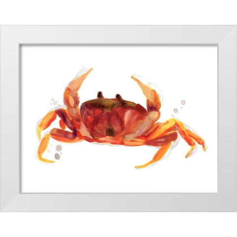 Crab Cameo III White Modern Wood Framed Art Print by Vess, June Erica