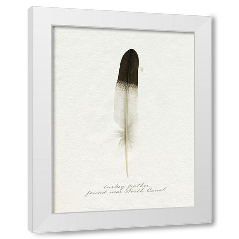 Found Feather IV White Modern Wood Framed Art Print by Popp, Grace