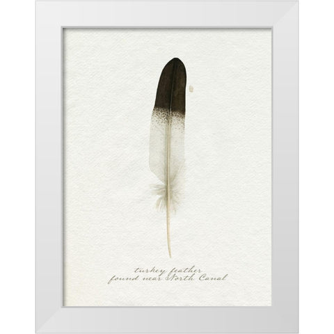 Found Feather IV White Modern Wood Framed Art Print by Popp, Grace