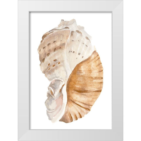 Seashell I White Modern Wood Framed Art Print by Warren, Annie