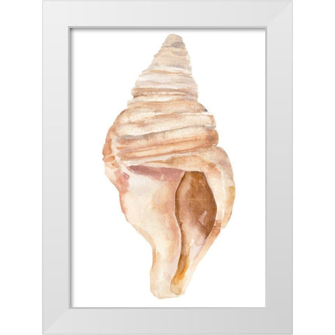 Seashell II White Modern Wood Framed Art Print by Warren, Annie