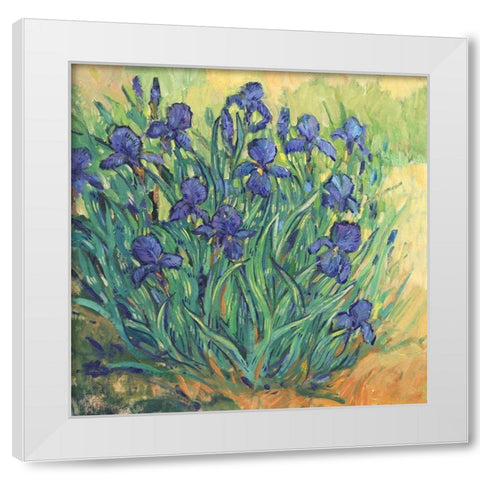 Irises in Bloom II White Modern Wood Framed Art Print by OToole, Tim