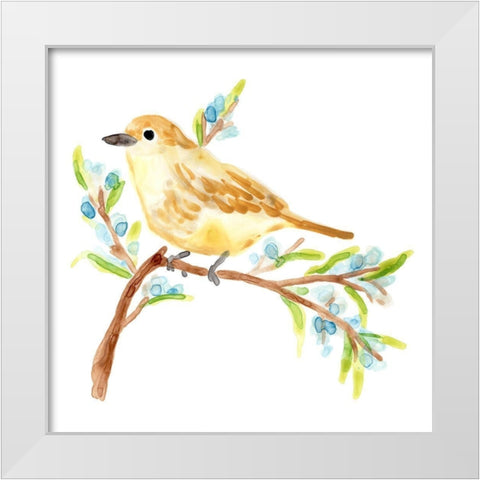 Springtime Songbirds II White Modern Wood Framed Art Print by Vess, June Erica