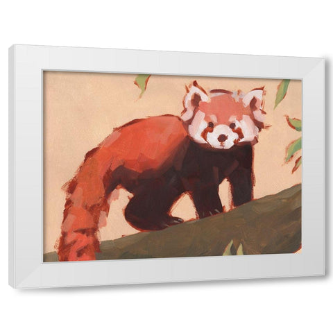 Red Panda I White Modern Wood Framed Art Print by Green, Jacob