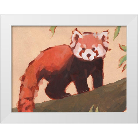 Red Panda I White Modern Wood Framed Art Print by Green, Jacob