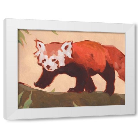 Red Panda II White Modern Wood Framed Art Print by Green, Jacob
