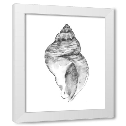 Quiet Conch I White Modern Wood Framed Art Print by Caroline, Emma