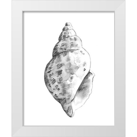 Quiet Conch II White Modern Wood Framed Art Print by Caroline, Emma