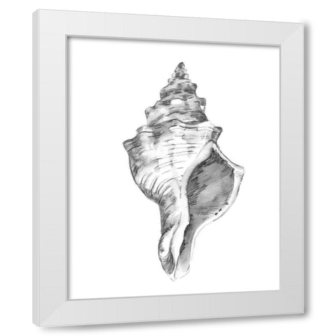 Quiet Conch IV White Modern Wood Framed Art Print by Caroline, Emma