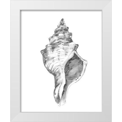 Quiet Conch IV White Modern Wood Framed Art Print by Caroline, Emma