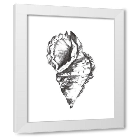 Seashell Study I White Modern Wood Framed Art Print by Wang, Melissa