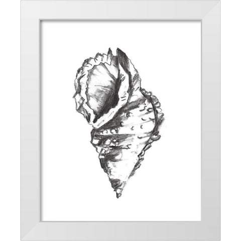 Seashell Study I White Modern Wood Framed Art Print by Wang, Melissa