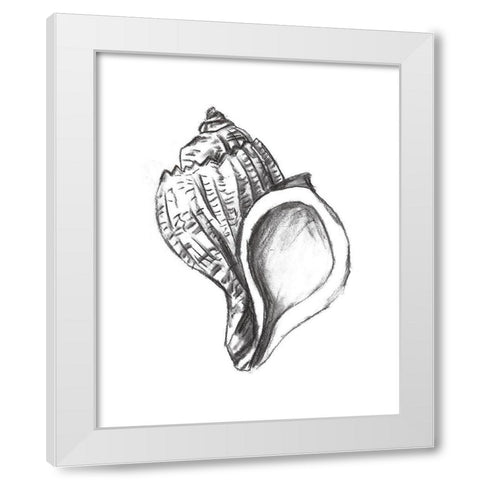 Seashell Study II White Modern Wood Framed Art Print by Wang, Melissa