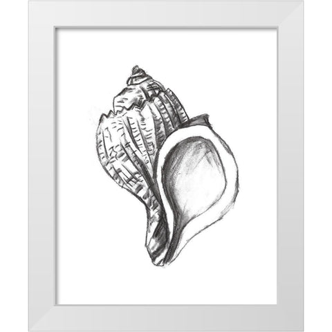 Seashell Study II White Modern Wood Framed Art Print by Wang, Melissa