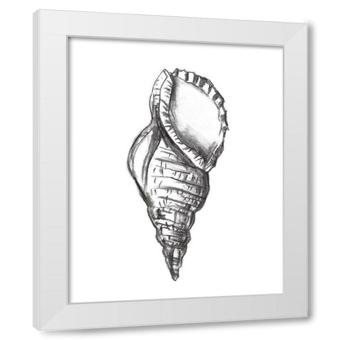 Seashell Study III White Modern Wood Framed Art Print by Wang, Melissa