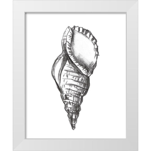 Seashell Study III White Modern Wood Framed Art Print by Wang, Melissa