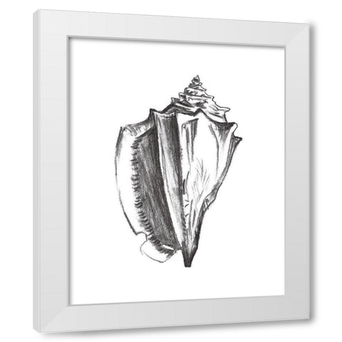 Seashell Study IV White Modern Wood Framed Art Print by Wang, Melissa