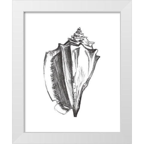 Seashell Study IV White Modern Wood Framed Art Print by Wang, Melissa