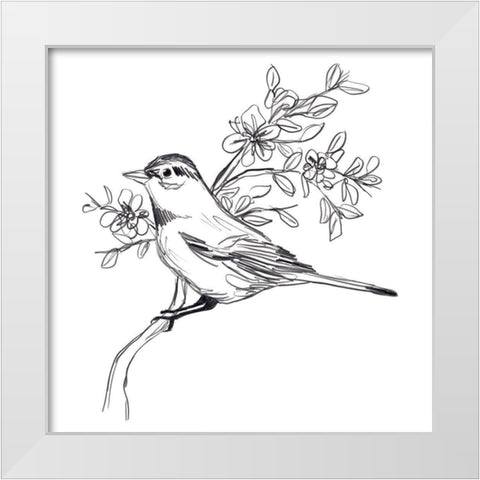 Simple Songbird Sketches III White Modern Wood Framed Art Print by Vess, June Erica