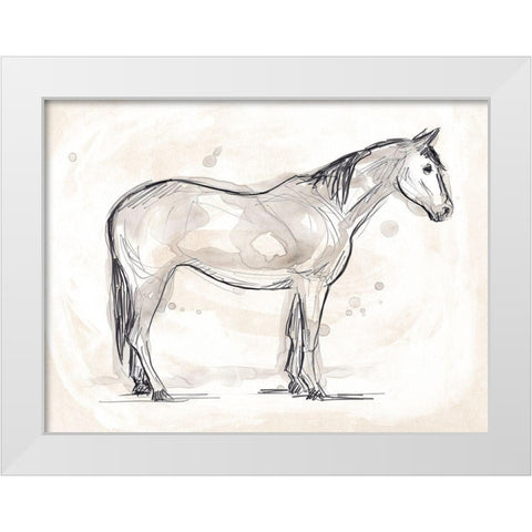 Vintage Equine Sketch II White Modern Wood Framed Art Print by Vess, June Erica