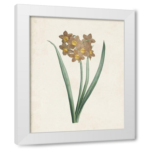 Classic Botanicals VI White Modern Wood Framed Art Print by Redoute, Pierre