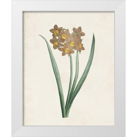 Classic Botanicals VI White Modern Wood Framed Art Print by Redoute, Pierre