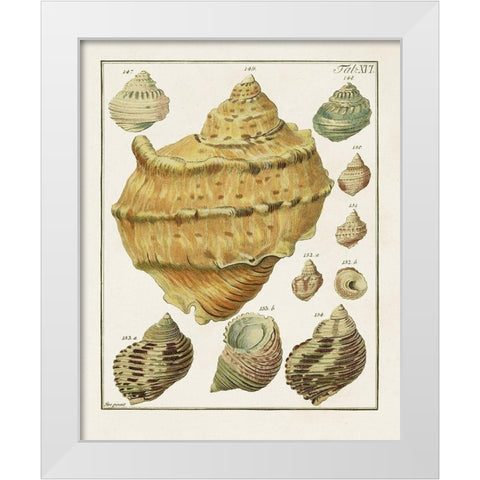 Pastel Shell Pair I White Modern Wood Framed Art Print by Unknown