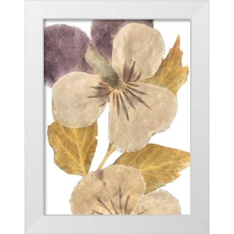 Neutral Pansy I White Modern Wood Framed Art Print by Saunders, Alonzo