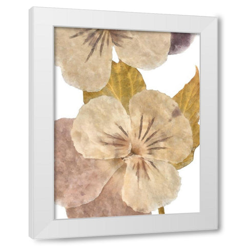 Neutral Pansy II White Modern Wood Framed Art Print by Saunders, Alonzo