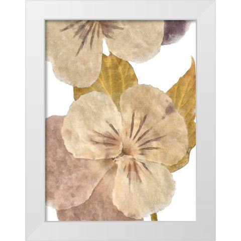 Neutral Pansy II White Modern Wood Framed Art Print by Saunders, Alonzo
