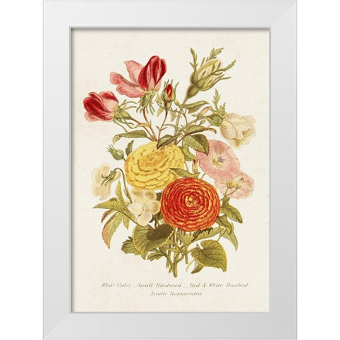 Antique Floral Bouquet I White Modern Wood Framed Art Print by Unknown