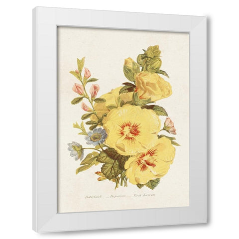 Antique Floral Bouquet VI White Modern Wood Framed Art Print by Unknown