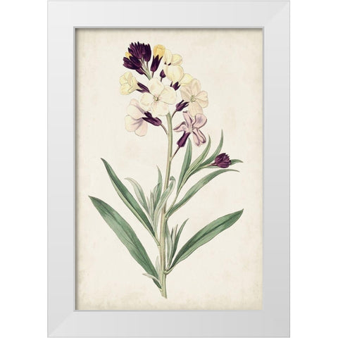 Antique Botanical Collection VII White Modern Wood Framed Art Print by Ridgeway