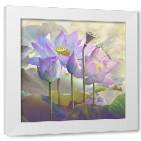 Lotus Sanctuary I White Modern Wood Framed Art Print by Hunziker, Steve